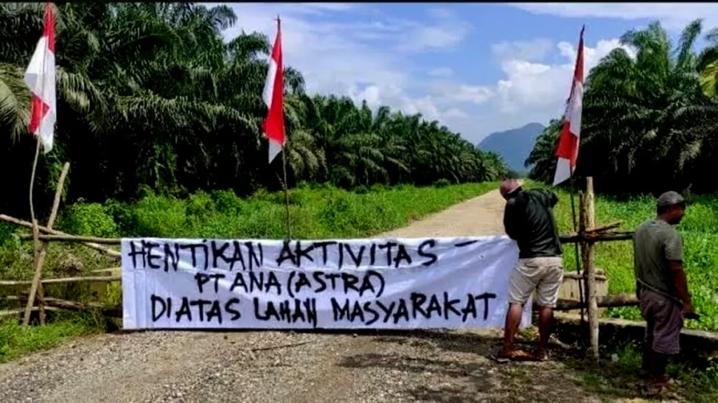 Menanggapi Tantangan Kepemilikan Lahan di Perkebunan Kelapa Sawit Morowali Utara